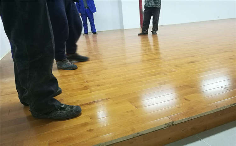 leyu70vip:强制性指引法律规范(法律是一种强制性规范)