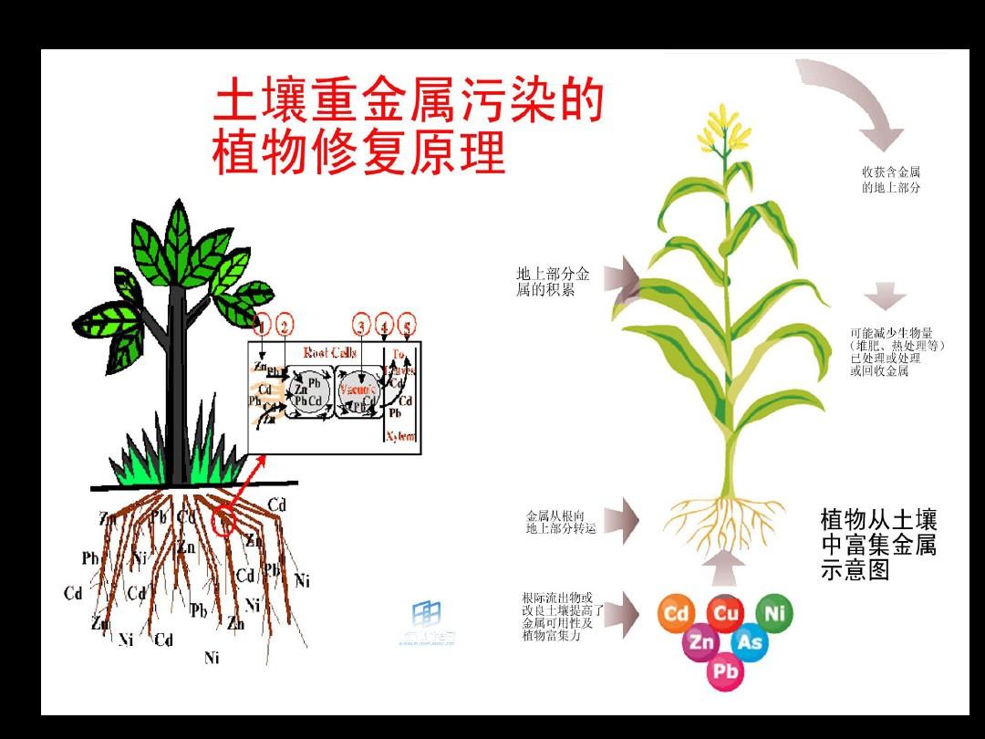 leyu70vip:国土整治与生态修复系列之五：土壤污染防治及修复现状初探